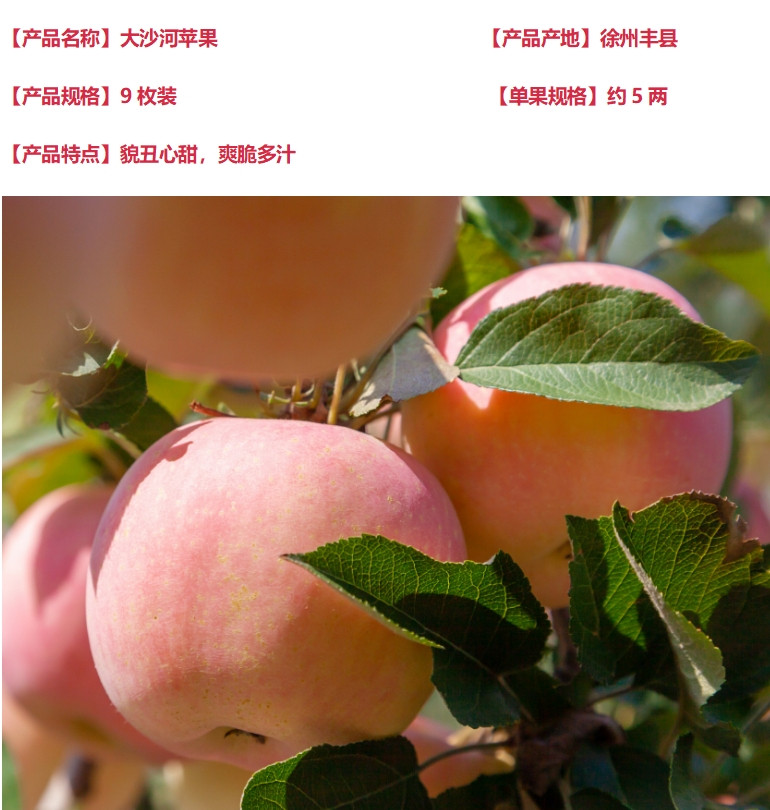 邮政版足金苹果足金苹果吊坠寓意
